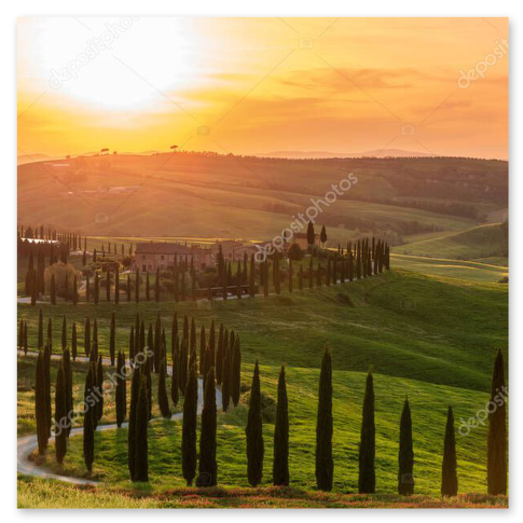 Colline toscane al tramonto vicino all’apiario